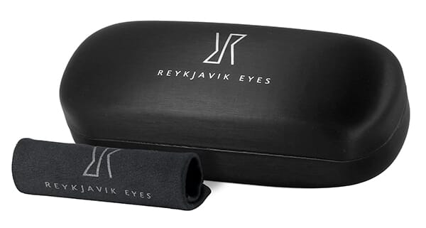Reykjavic Eyes Spring Case